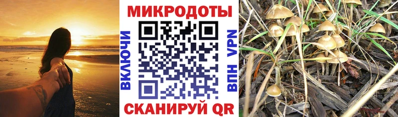 Псилоцибиновые грибы мицелий  магазин  наркотиков  Туапсе 